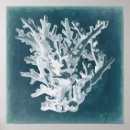 Recherche de azur art Vie marine