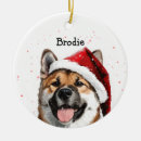 Search for akita ornaments Dog