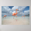 Search for aruba art Palm tree
