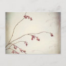 Recherche de prins cartes postales Printemps