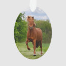 Search for pony ornaments Funny