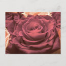 Recherche de beautiful cartes postales Red