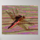 Recherche de affligé posters Coloré