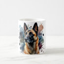 Recherche de malinois tasses Belge