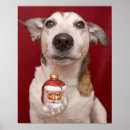 Search for jack russell posters Canine