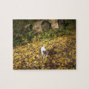 Search for jack russell puzzles Animal