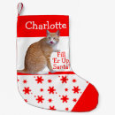 Recherche de orange chaussette de noël Animaux