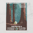 Search for sequoia postcards Usa