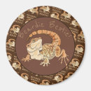 Recherche de barbu magnets Lézard