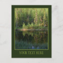 Search for finnish photography Trees