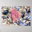 Recherche de vue mer posters Mur