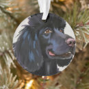Search for black poodle ornaments Watercolor
