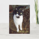 Recherche de chat maison vœux cartes Chaise