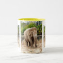 Recherche de indiens tasses Nature