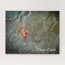 Search for fish pond puzzles Ponds