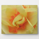 Recherche de fantaisie plaques Fleurs
