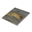 Search for tree frog tiles Toad