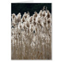 Search for tall grass Nature