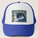 Recherche de le faucon casquettes Oiseau de proie