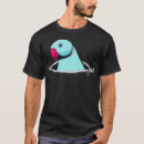 Search for indian ringneck parrot Funny