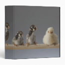 Search for perch binders Birds