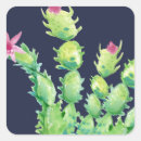 Search for christmas cactus stickers Floral