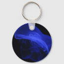 Search for invertebrate keychains Sea