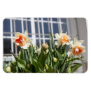 Search for spring birthday magnets Flowers