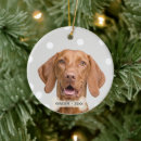 Search for vizsla ornaments Cute