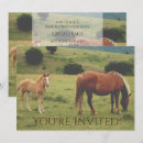 Recherche de jument invitations Poulain