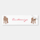 Search for puma bumper stickers Cougar