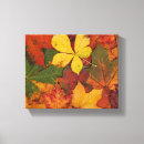 Search for fall foliage canvas prints Autumn