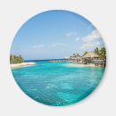 Search for blue tropical magnets Palm trees