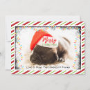 Search for santa hat christmas cards Puppy