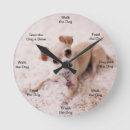 Recherche de chihuahua clocks Mignon