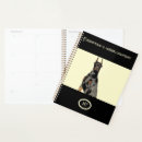 Search for pincher Doberman pincher