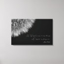 Search for seedhead Black
