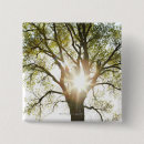 Search for tree square buttons Forest