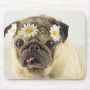 Recherche de chiot carlin tapis souris Fleurs