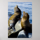 Recherche de la mer posters Mignon