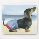 Recherche de cannine tapis souris Canine