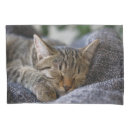 Search for baby animals pillowcases Kitten