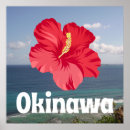 Search for okinawa japan posters Ryukyu