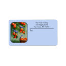 Search for songbird return address labels Nature