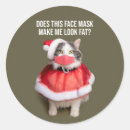 Search for fat cat stickers Funny