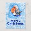 Search for european robin postcards Watercolor