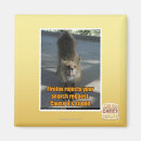 Search for rejected magnets I can has cheezburger