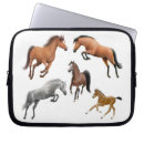 Recherche de poulain électronique Chevaux