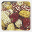 Search for maize labels Vegetable
