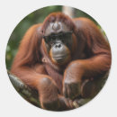 Search for malaysia travel stickers Kuala lumpur